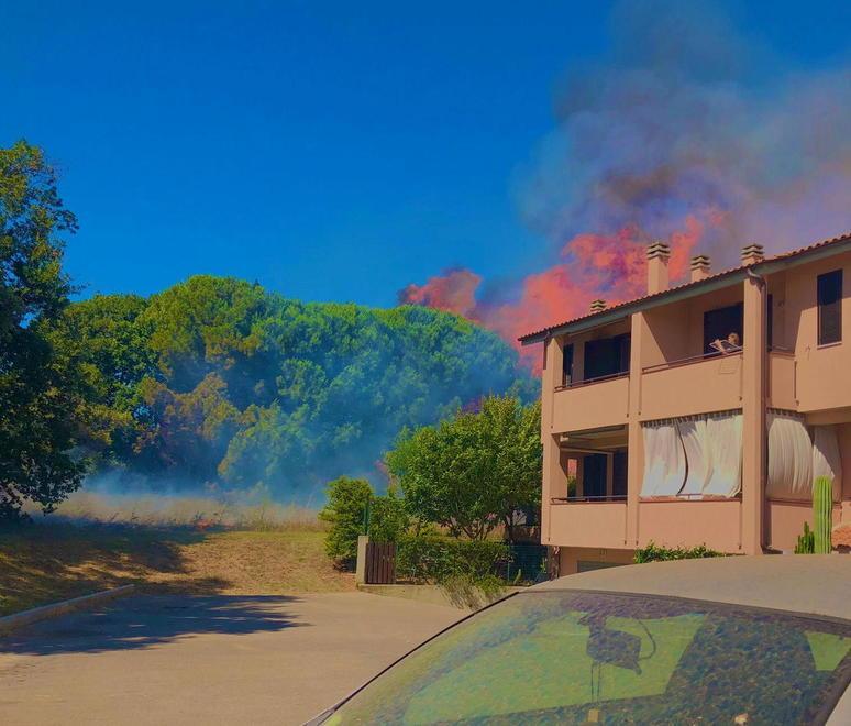 Fiamme nella zona sud Allontanate dalle case una decina di persone
