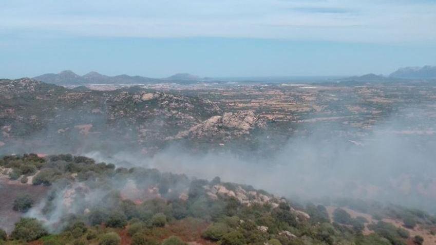 Otto ettari a fuoco nelle campagne di Telti e Luras