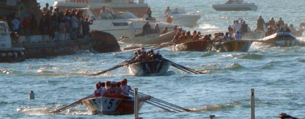 Remi in acqua, torna la Risi’atori: stessa maratona ma con regole nuove 