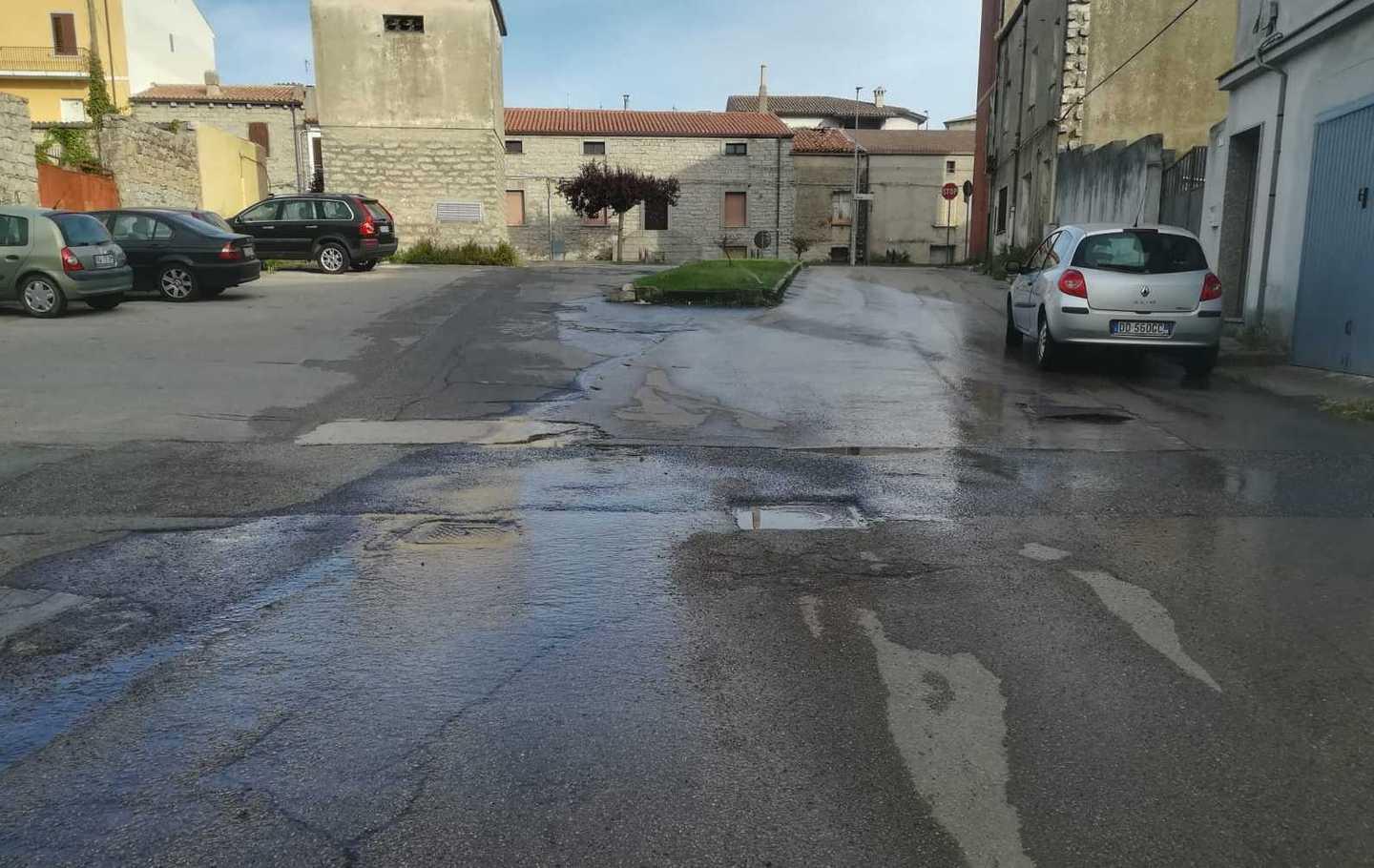 «Erbacce e perdite, città nel degrado» 