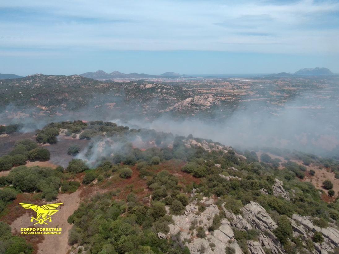 La mano dell'uomo dietro gli incendi del weekend in Sardegna 