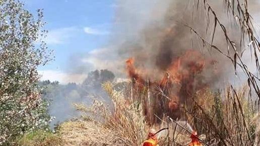Incendio nei boschi delle Cerbaie fra Firenze, Pisa e Lucca. Si teme per le abitazioni vicine