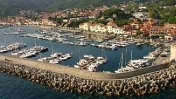 Ecco la bandiera lilla per l’attenzione verso la disabilità