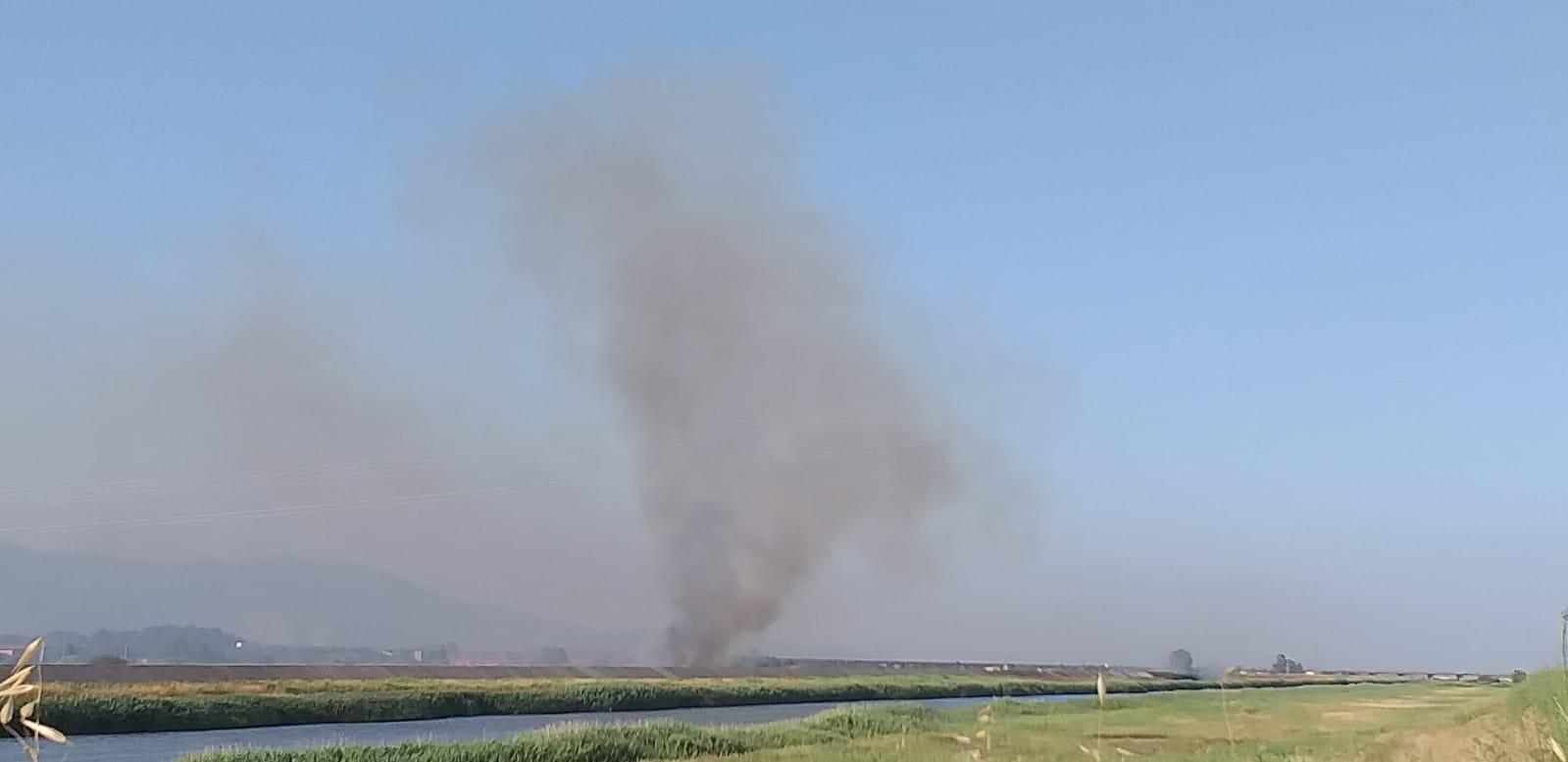 L'incendio su un argine di Vicarello