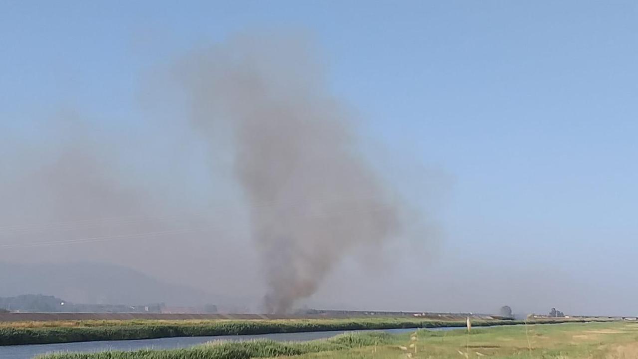 L'incendio su un argine di Vicarello