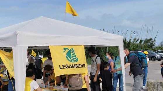 Casa delle donne contro Zappelli: «Venga a vedere il nostro lavoro»