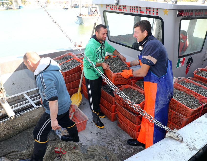 Contro le morie di vongole stavolta si fa sul serio «Ringraziamo la Bonifica» 