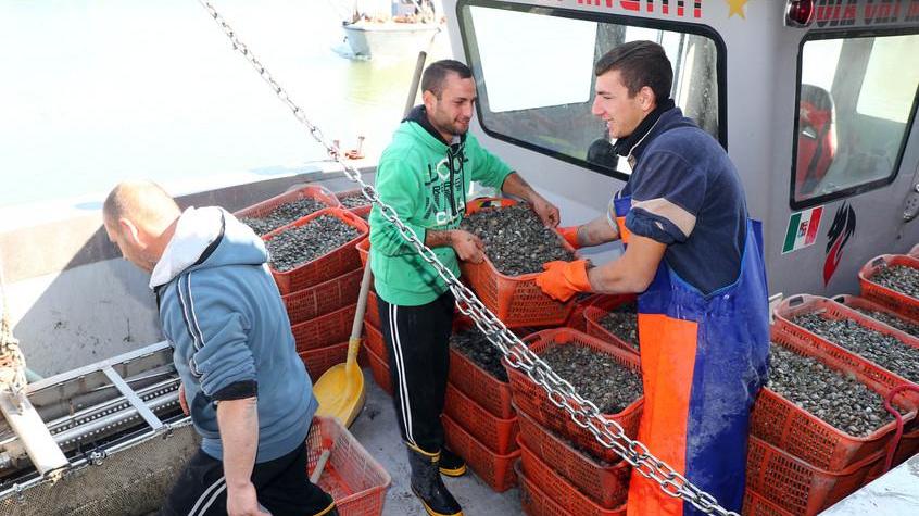 Contro le morie di vongole stavolta si fa sul serio «Ringraziamo la Bonifica»