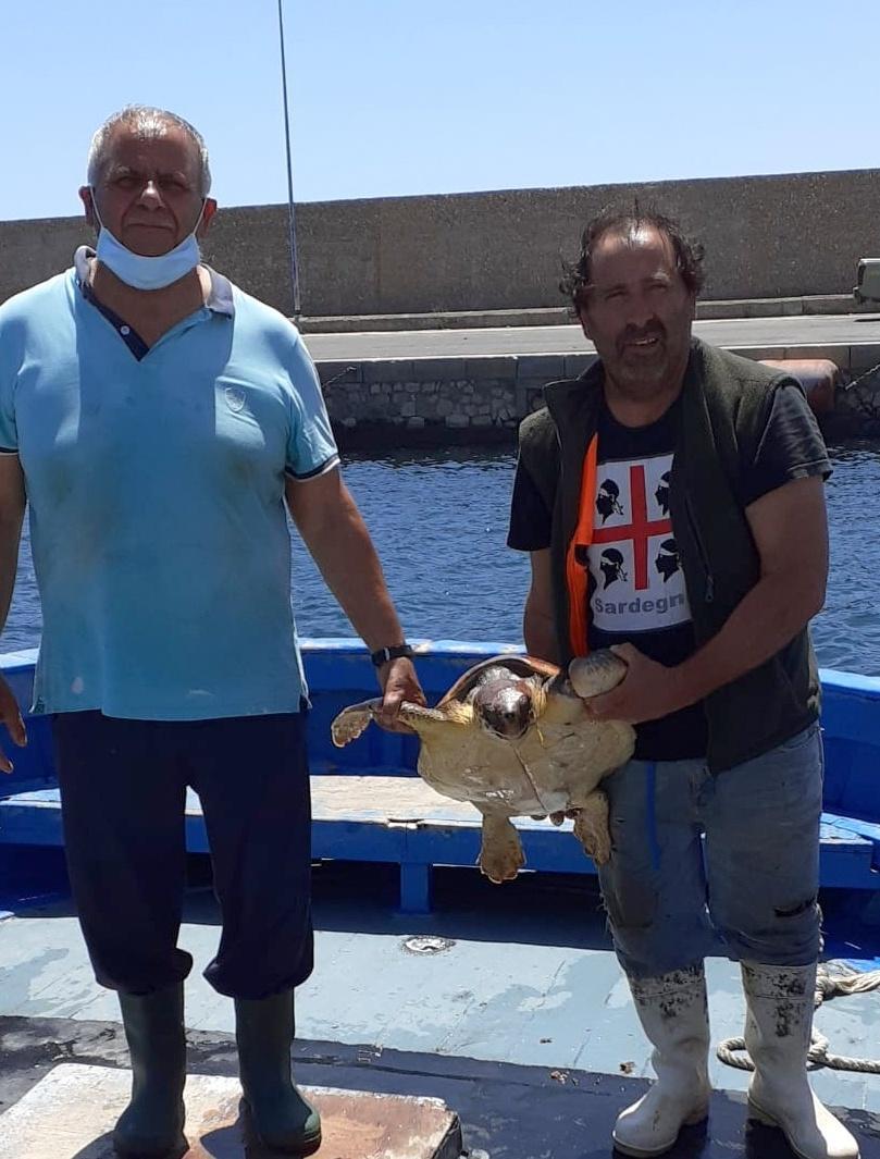 Un’altra tartaruga salvata dai pescatori 