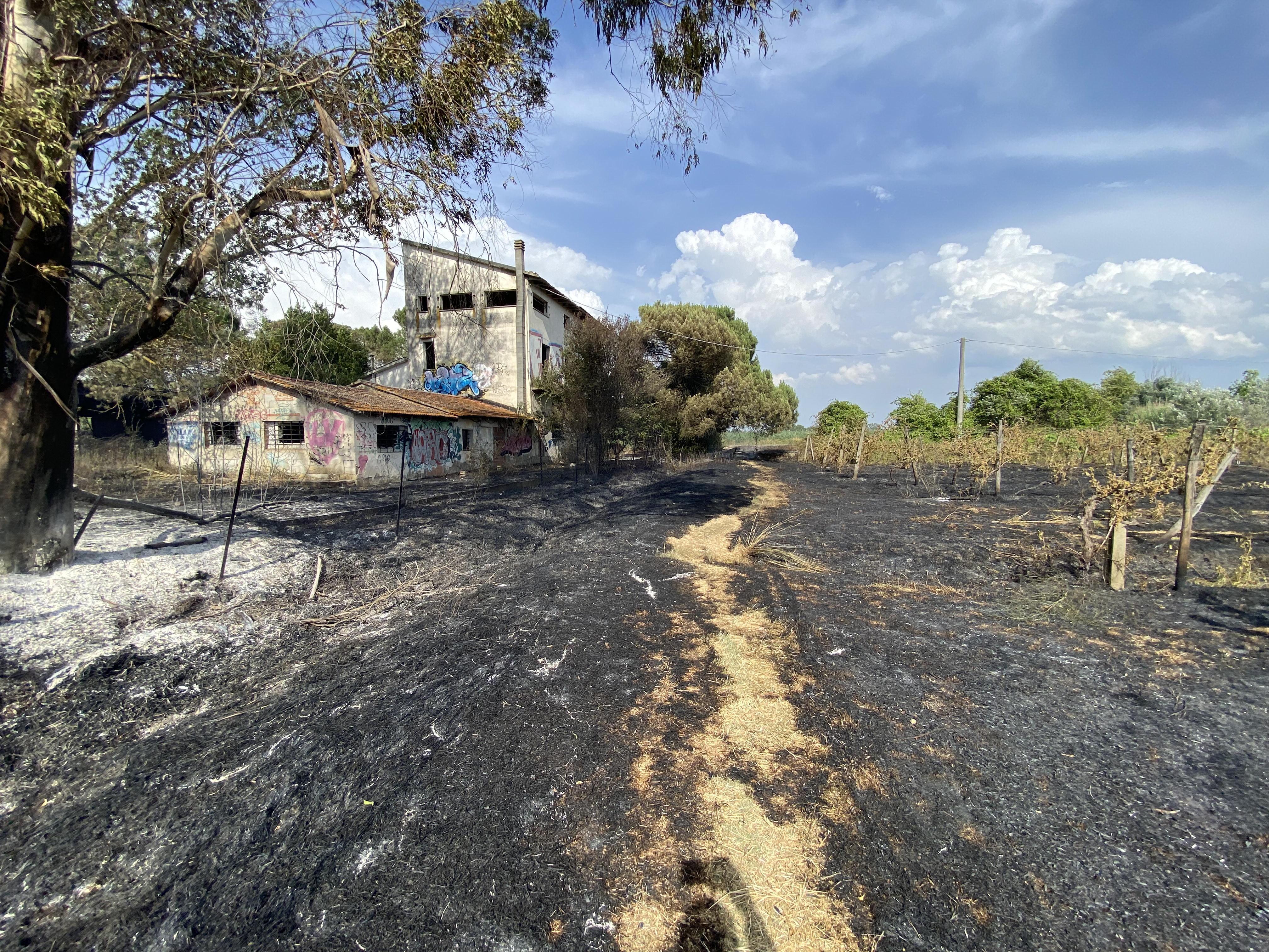 San Miniato, incendio vicino ai binari: per due ore bloccata la linea