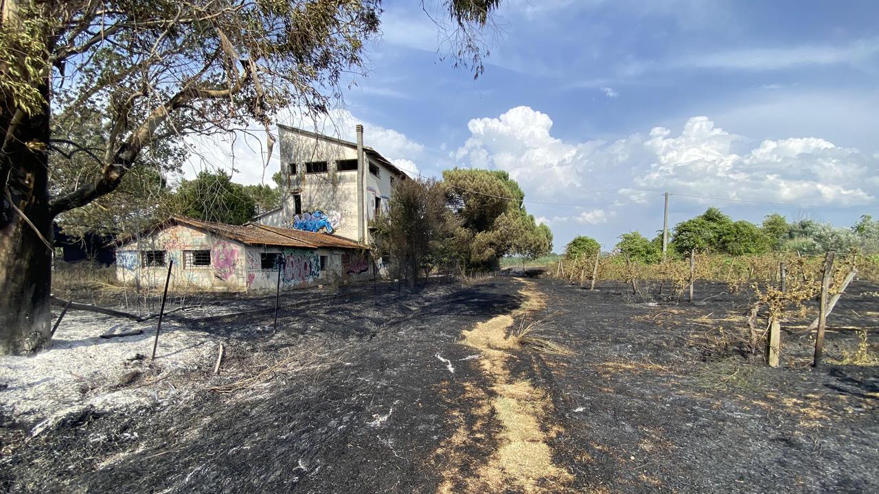 San Miniato, incendio vicino ai binari: per due ore bloccata la linea