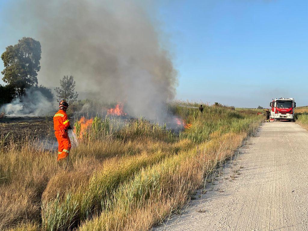 L'intervento di Pubblica assistenza di Collesalvetti e vigili del fuoco durante l'incendio