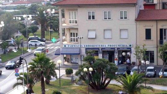 Tonfano, ecco il progetto Da sostituire tutti gli alberi