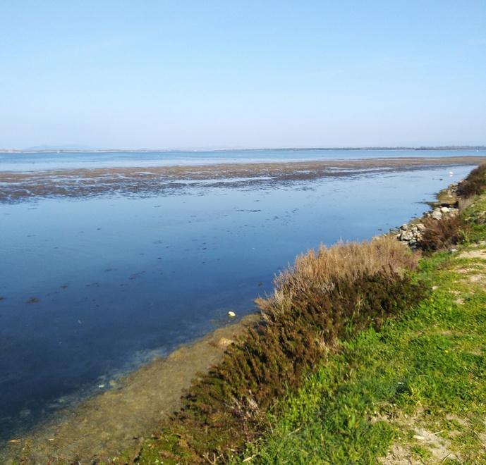 Il Pd: «Per la laguna deve essere il Comune il soggetto attuatore» 