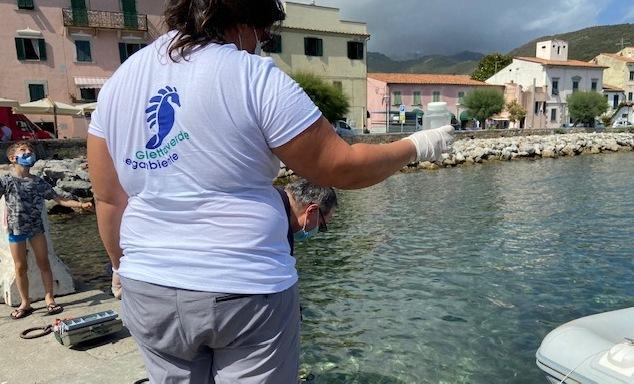 Goletta verde boccia il Fosso di Mola e il moletto del pesce