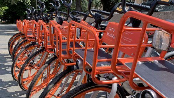 Mobilità e ambiente Bici da condividere per spostarsi in città Via al progetto