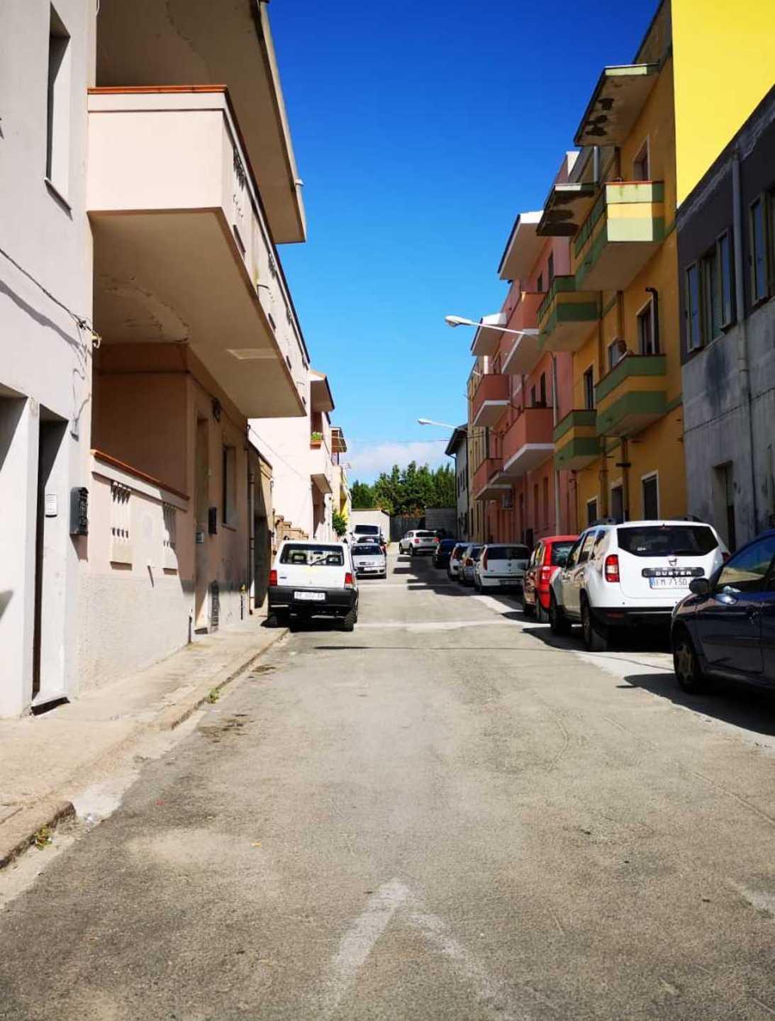 «I miei cani non sono abbandonati» 