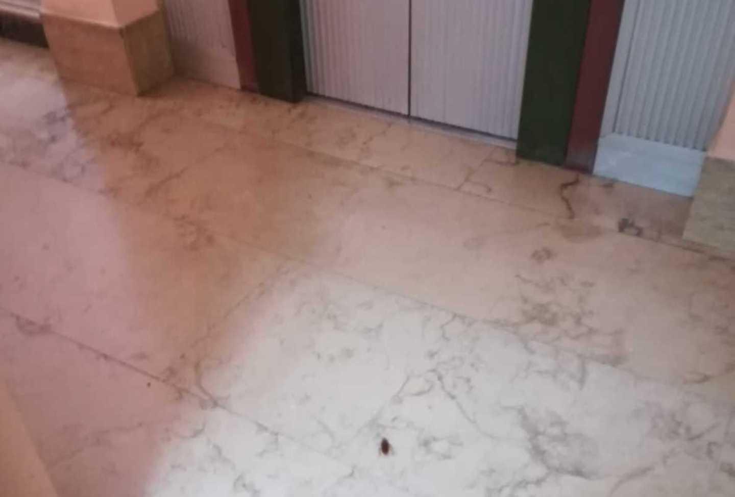 Blatta nel letto, tutte le pazienti in fuga 