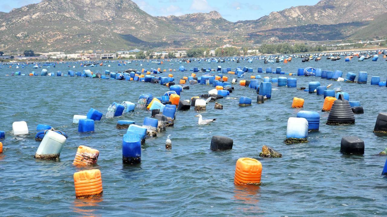 Scarico inquinante in mare: a Olbia sospesa la raccolta delle cozze