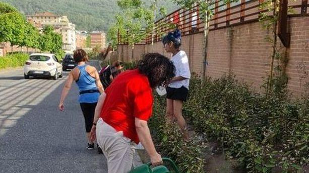 Nuove piante sugli argini dopo gli annaffiatoi delle donne del quartiere