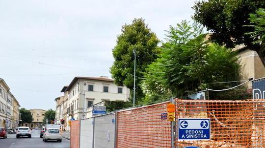 Fori nel tronco e necrosi alberi in brutte condizioni