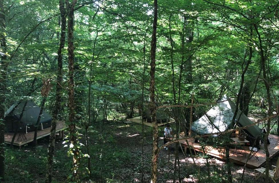 Le tende in afitto nel bosco  nel campeggio libero Senxunia