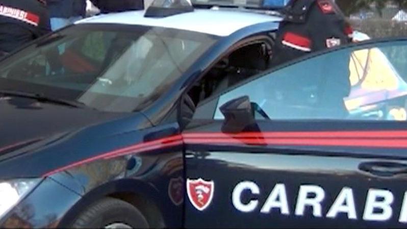 Sorprende una ladra nel soggiorno di casa