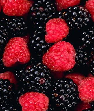 Non solo nicchia Aumenta la richiesta dei frutti di bosco 