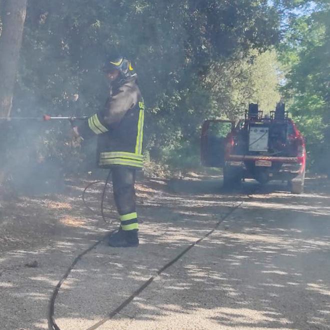 Pineta a fuoco I pompieri scongiurano il peggio