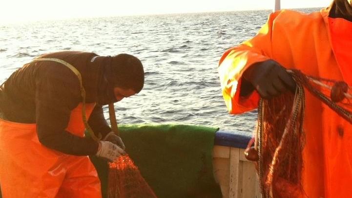 A Fertilia il pescato è a chilometri zero