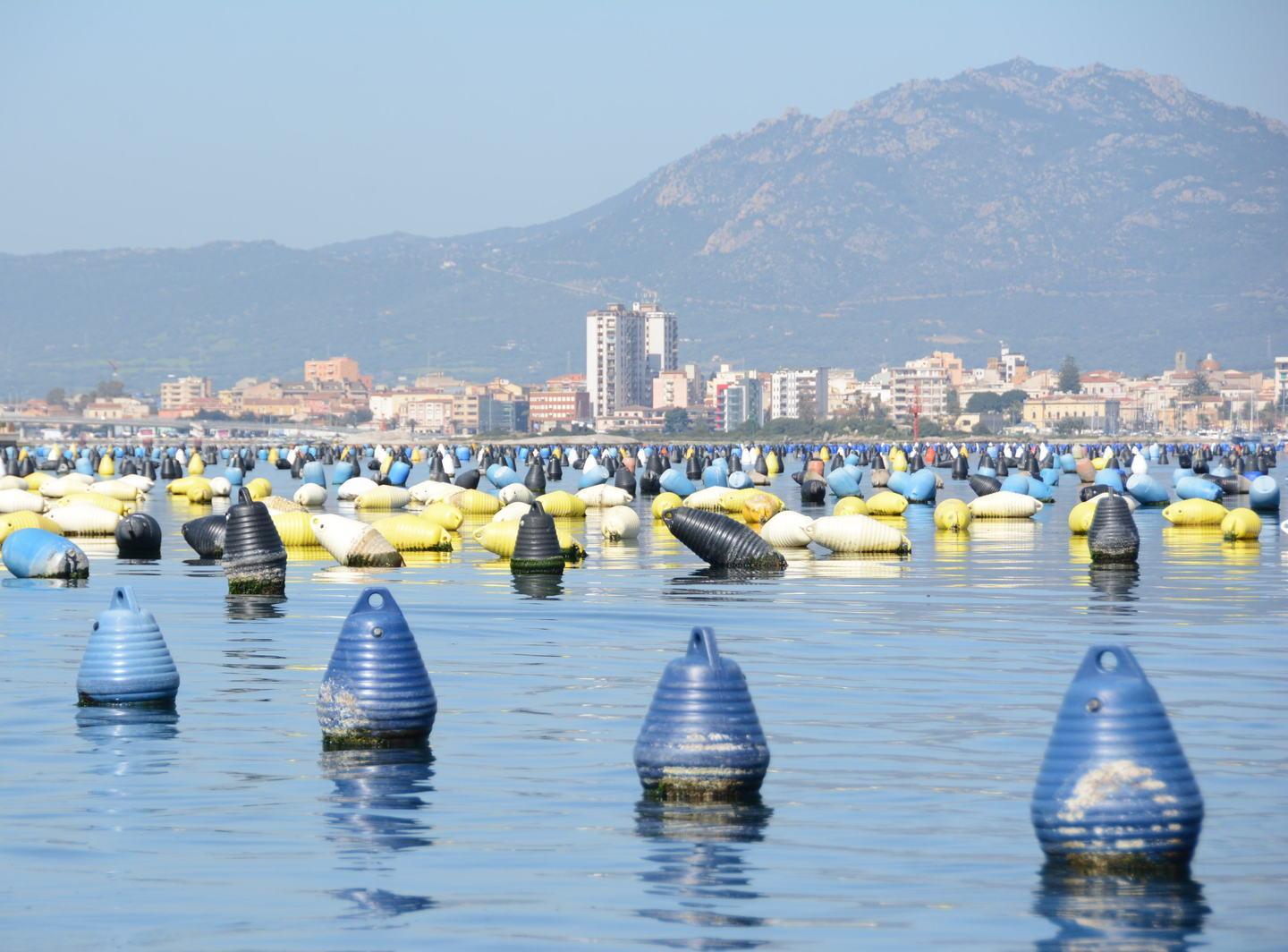 L’allarme dei mitilicoltori: scarico di liquami in mare 
