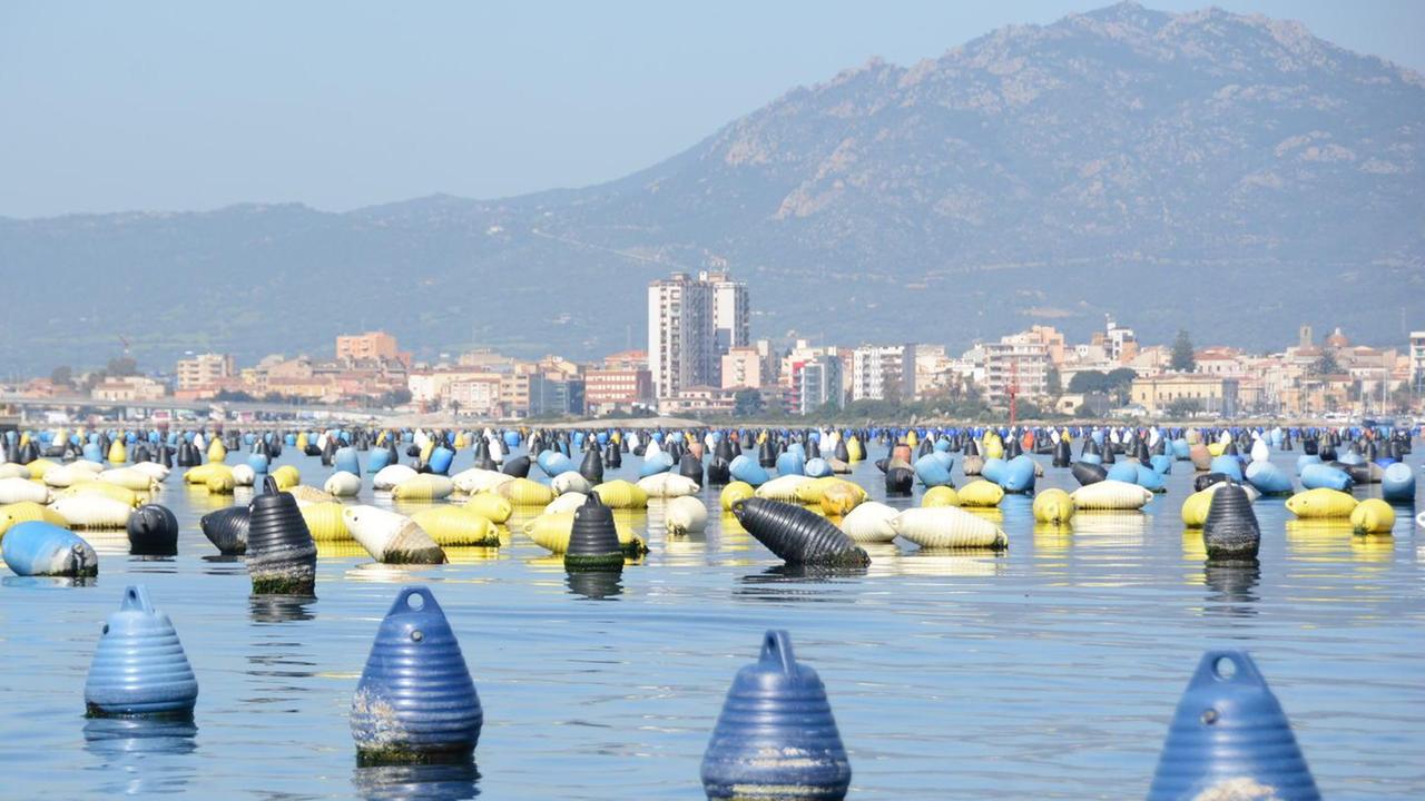 L’allarme dei mitilicoltori: scarico di liquami in mare