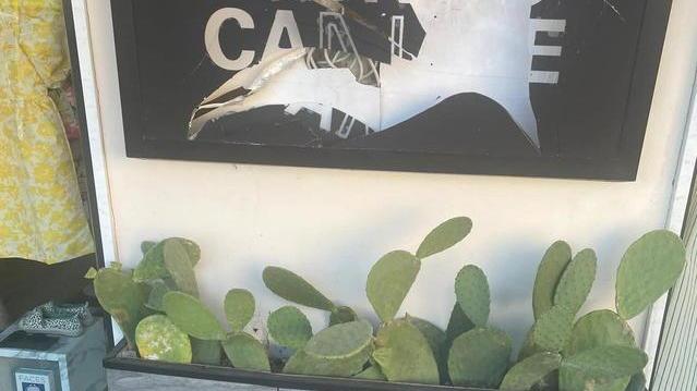 Bottiglia contro la vetrina di Lungocanale