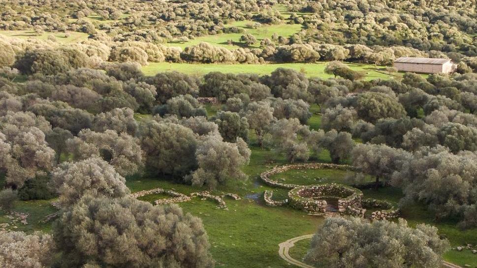Visita al sito archeologico di Santa Cristina