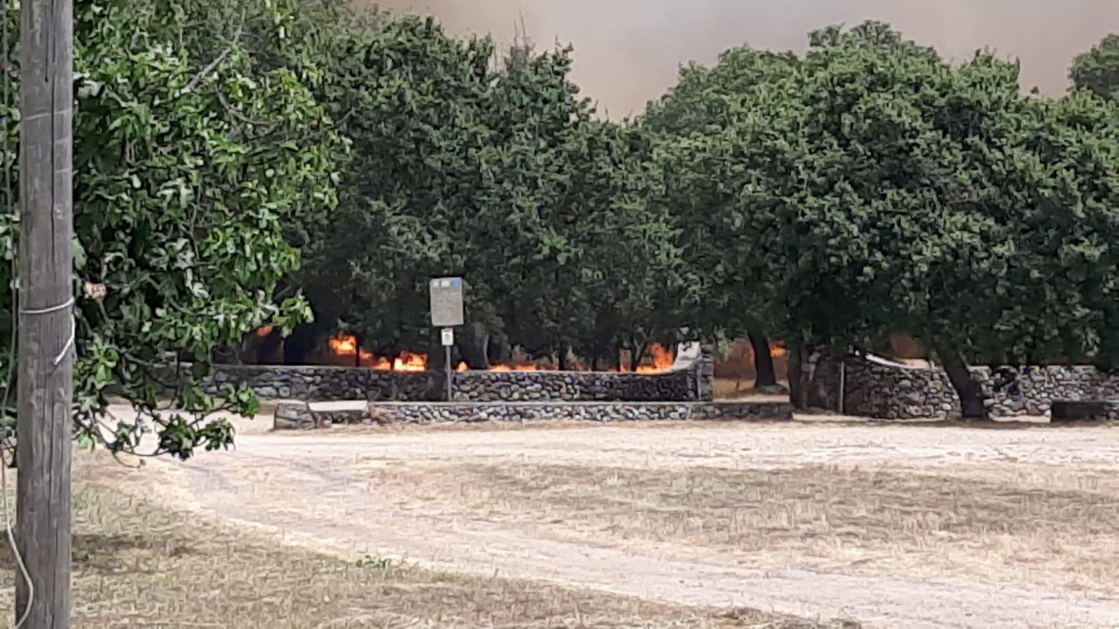Gli incendi imperversano per tutta la notte nella campagna di Abbasanta