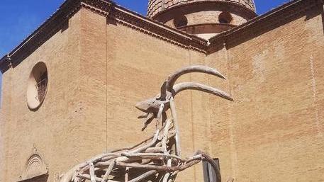 Testa nuova per il caprone Blitz in paese di Moradi