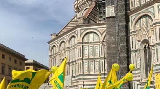 Cinghiali, si allarghi il calendario venatorio