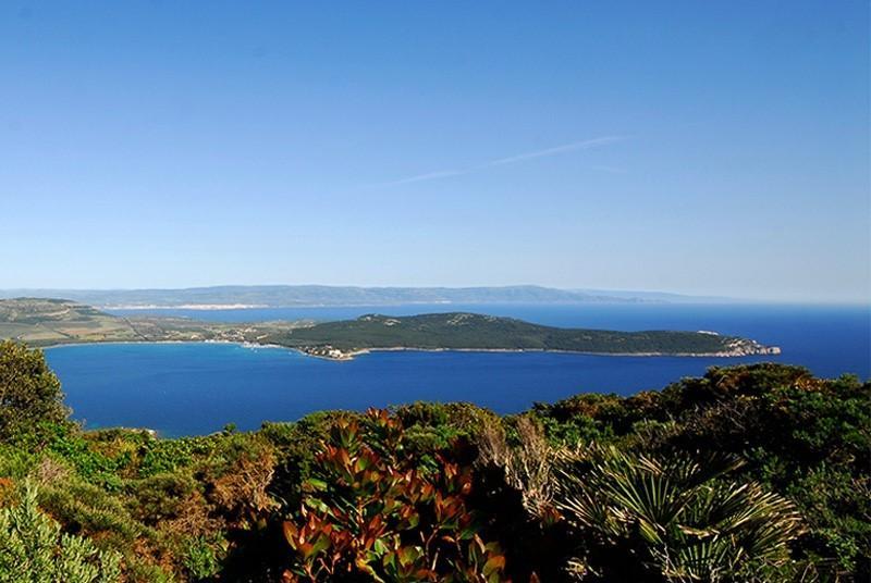 «Intorno al Parco un clima di terrore» 