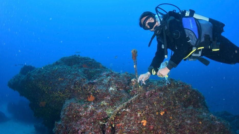 Tre diving dell’isola entrano nella rete che misura la “febbre” al mar Tirreno