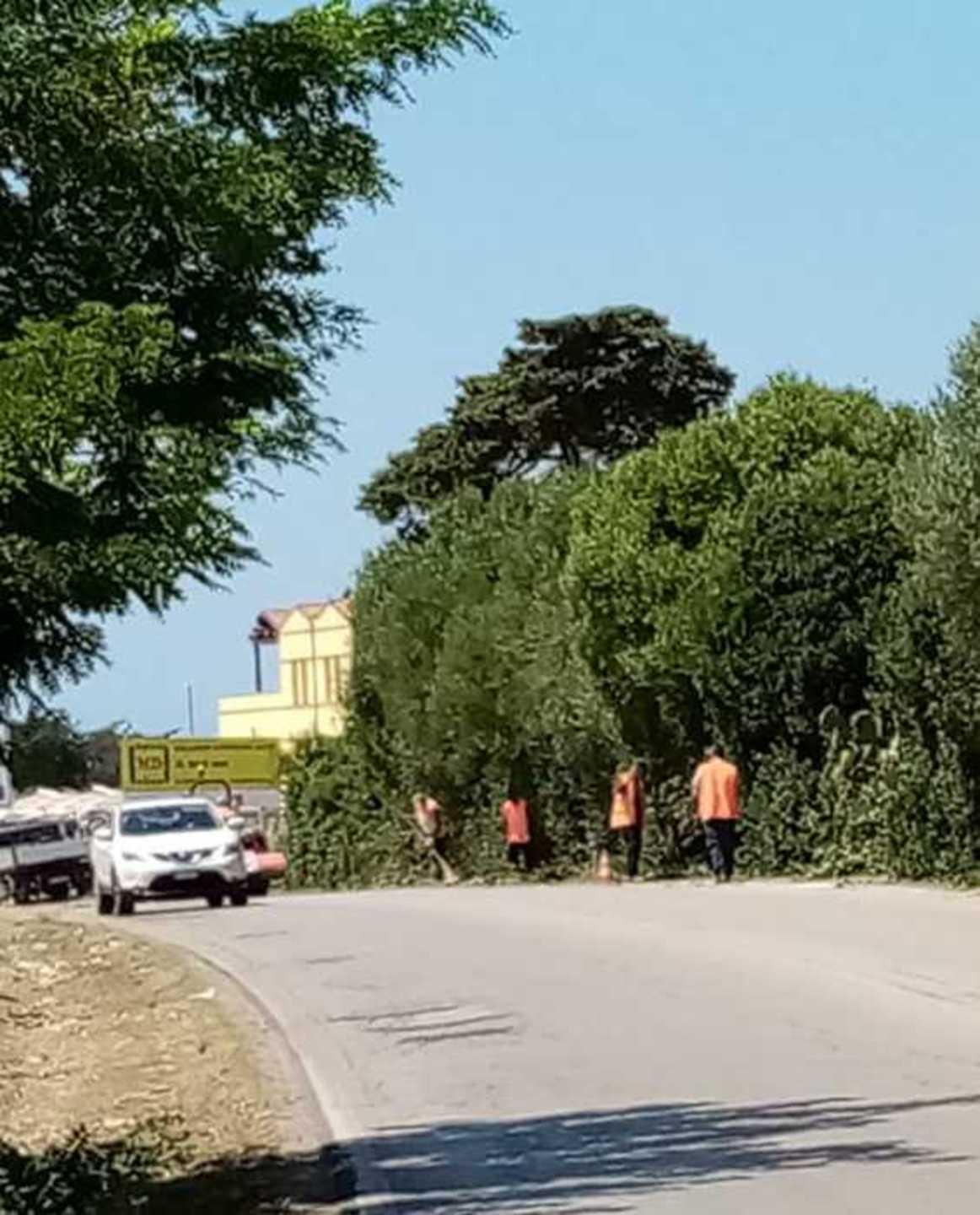 La cura del verde urbano per tre anni alla In House 