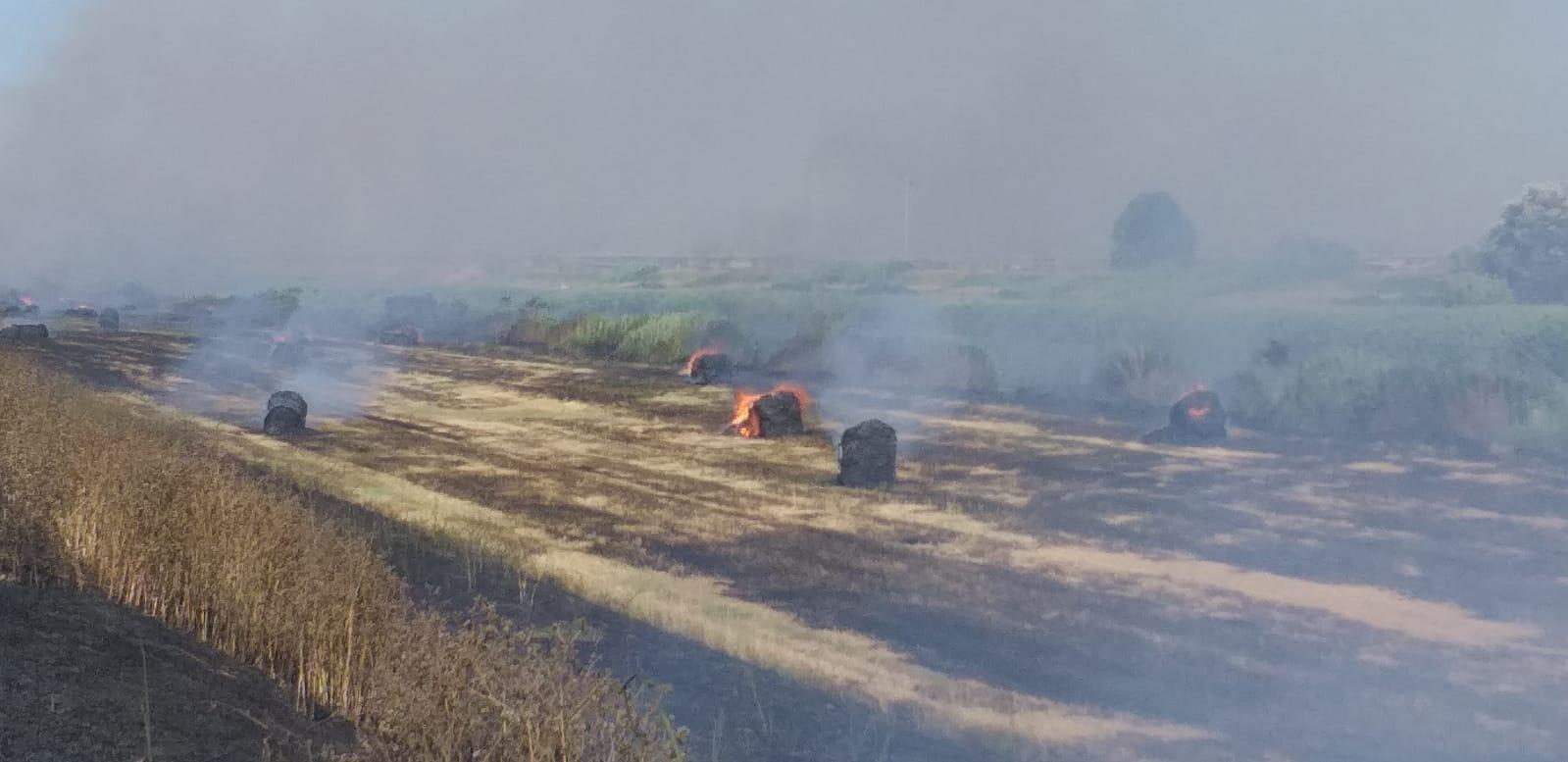 Il fuoco lungo lo Scolmatore