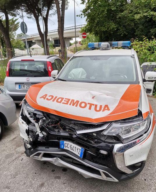 Scontro tra automedica e daino: ferita un’infermiera 