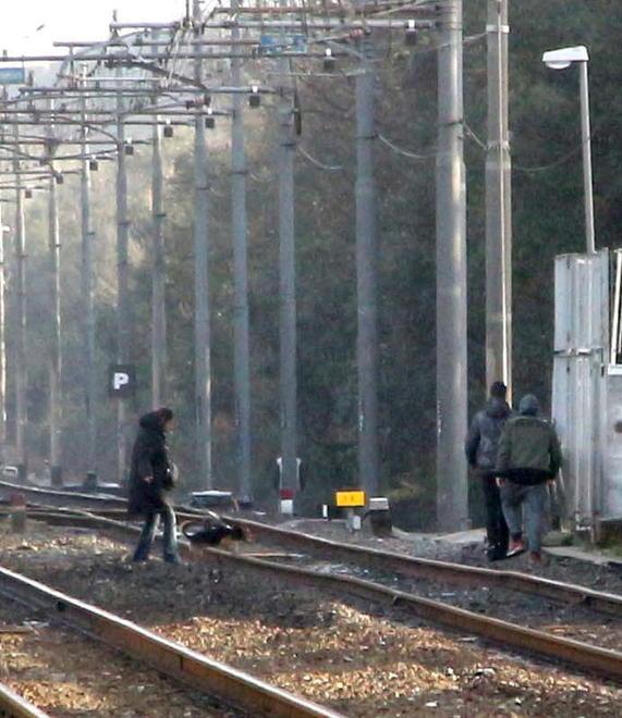 Lunghi fischi dei treni nel cuore della notte: in troppi sui binari