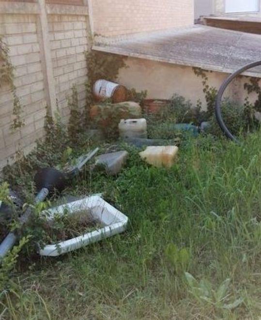 Tavassi va in pressing su degrado e rifiuti