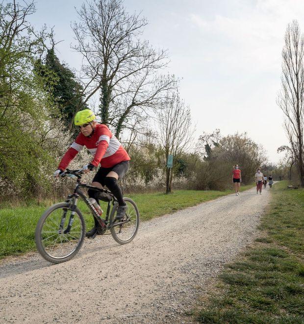 Il sondaggio del Comune Una città a pedali, servono più ciclabili 
