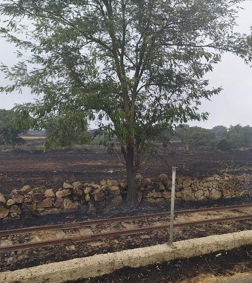Daga: Sindia in ginocchio, in fiamme oltre 1200 ettari 