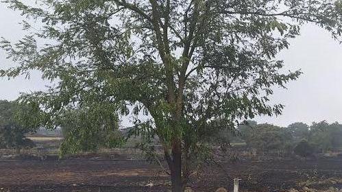 Daga: Sindia in ginocchio, in fiamme oltre 1200 ettari 