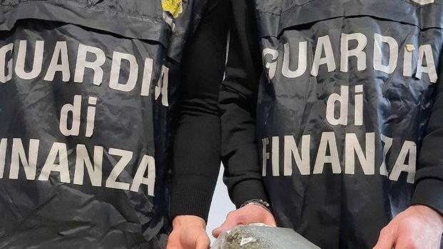 Ferrara, chili di droga spediti dalla Spagna a un disoccupato