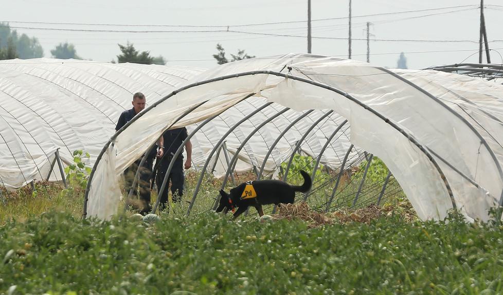 Saman, per gli investigatori il corpo è nell’azienda agricola 