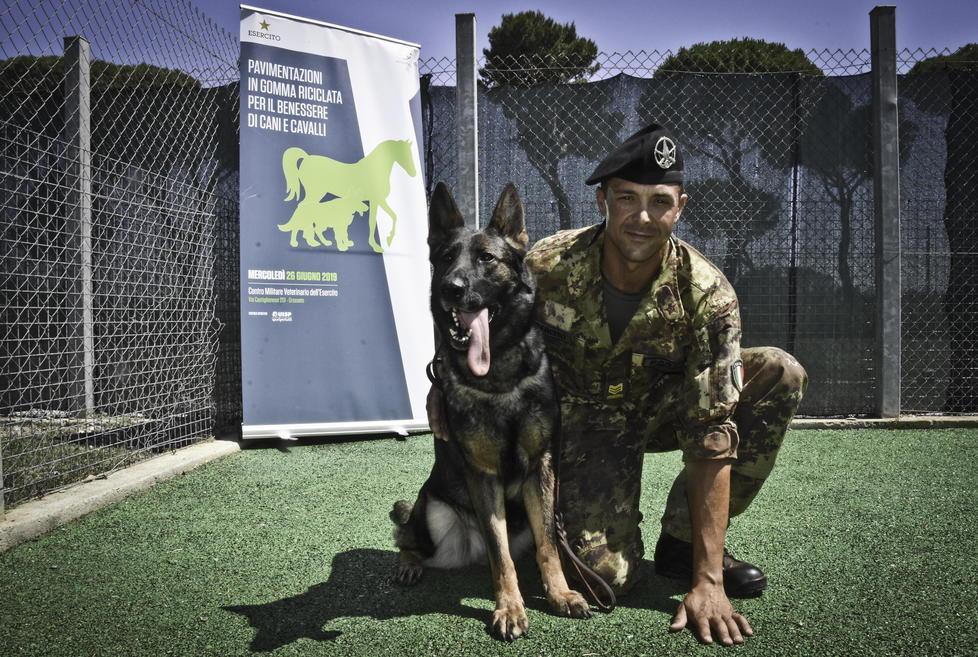 Cemivet e Scandicci Addestratori di cani verso un gemellaggio 